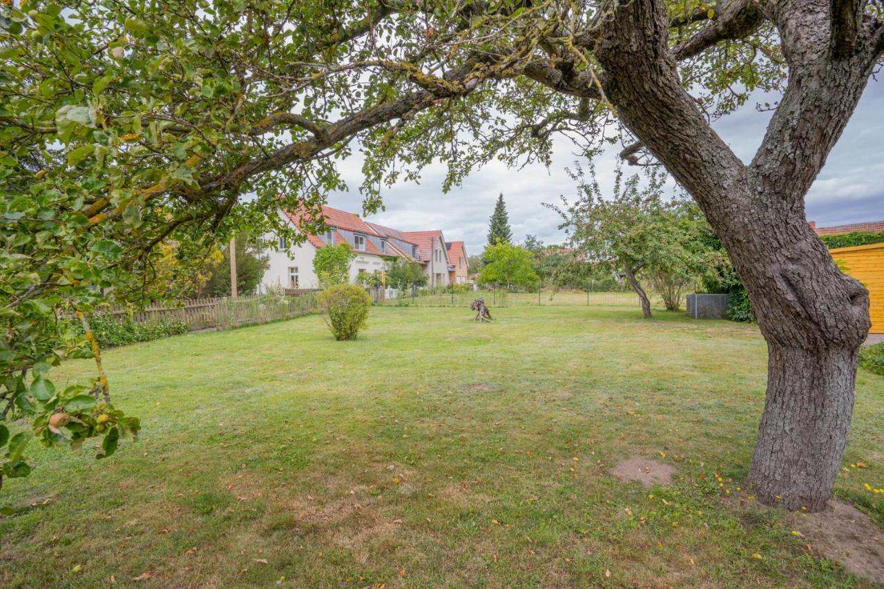 Ferienhaus "Seeadler" In Rankwitz Am Peenestrom Exteriér fotografie
