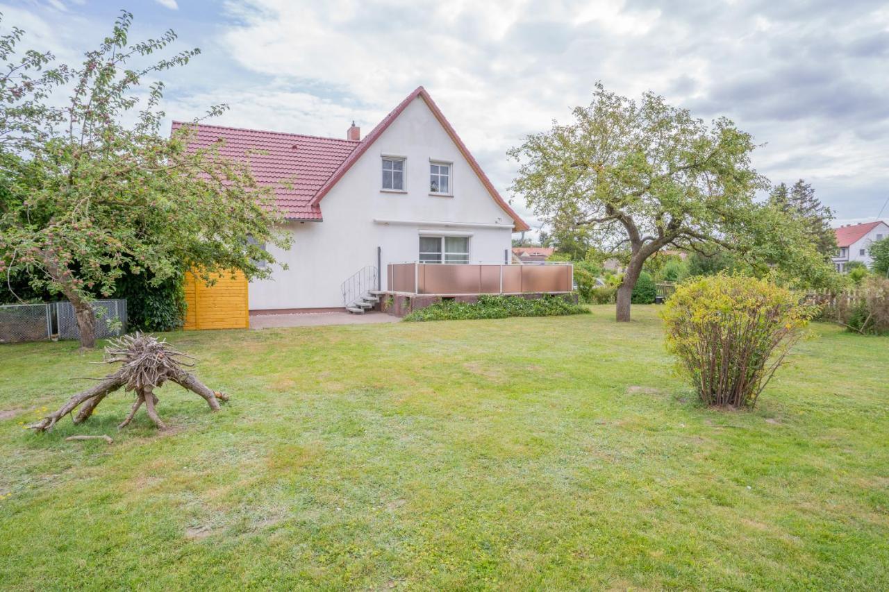 Ferienhaus "Seeadler" In Rankwitz Am Peenestrom Exteriér fotografie
